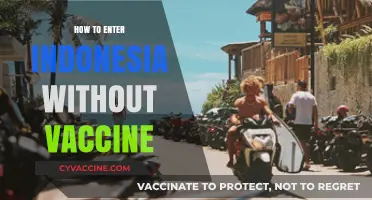 Traveling to Indonesia: Vaccine-Free Entry Requirements and Tips