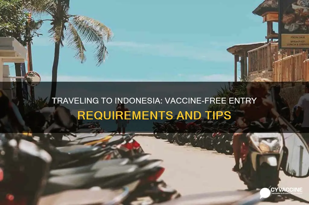 how to enter indonesia without vaccine