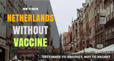 Traveling to the Netherlands Unvaccinated: Entry Requirements and Tips