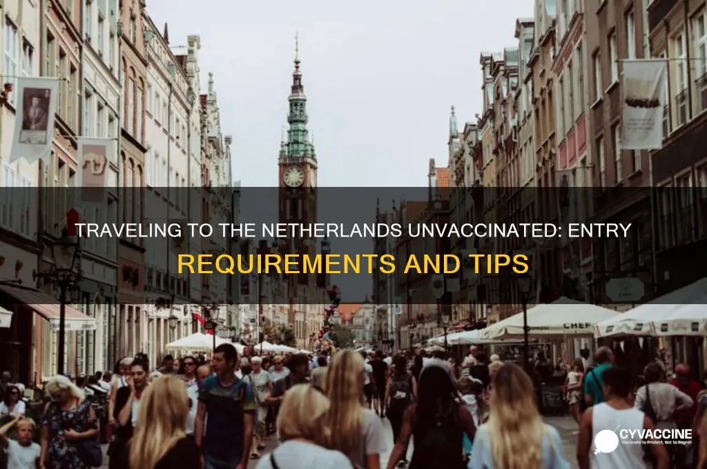 how to enter netherlands without vaccine