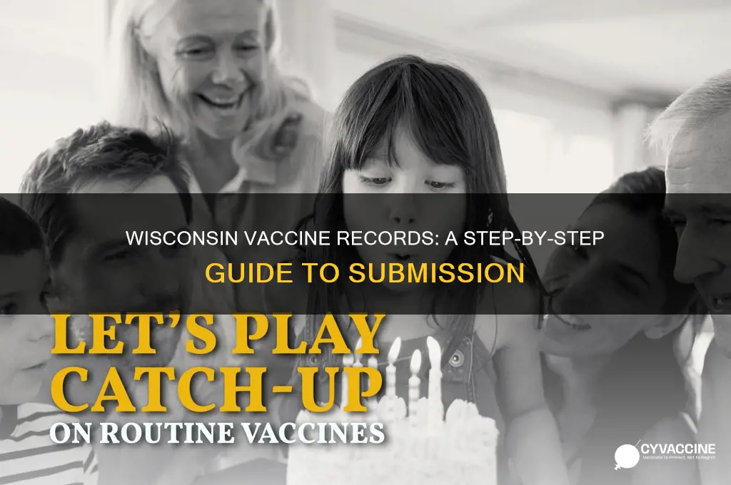 how to enter vaccine records wisconsin