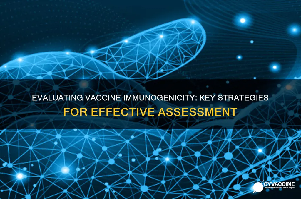 how to evaluate a vaccine immunogencity