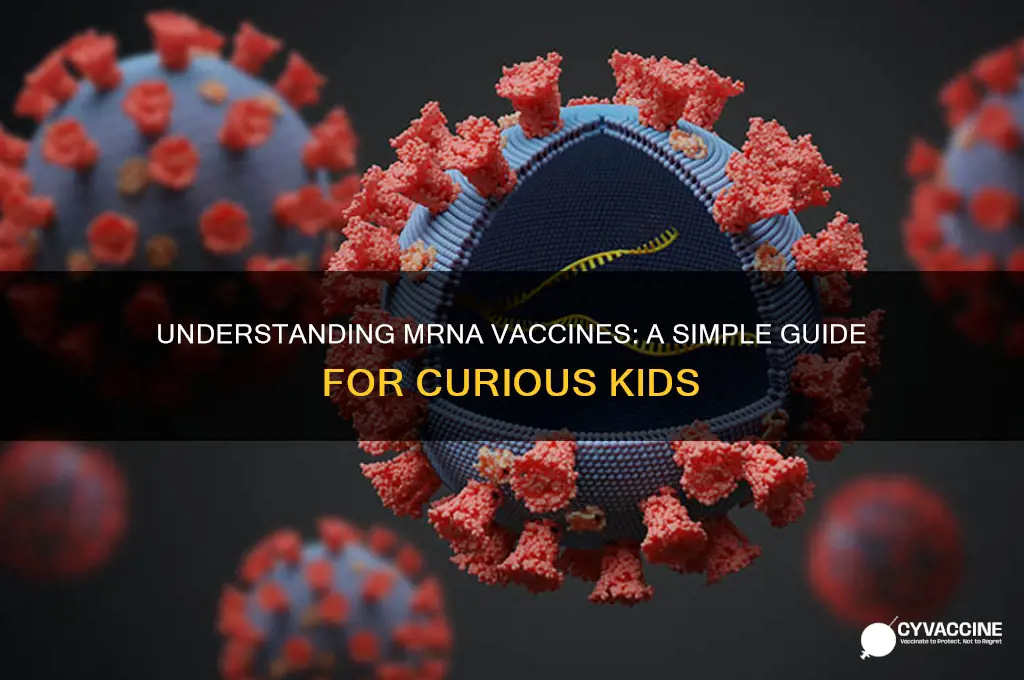 how to explain mrna vaccine to a child
