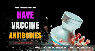 Testing for Vaccine Antibodies: A Guide to Check Your Immunity