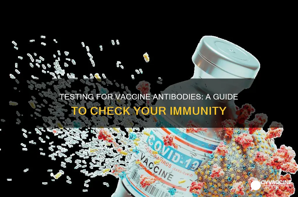 how to figure out if i have vaccine antibodies