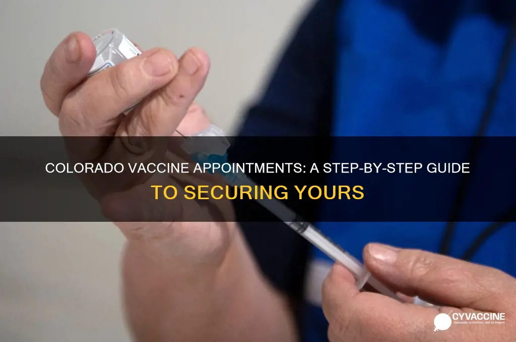how to find a vaccine appointment in colorado