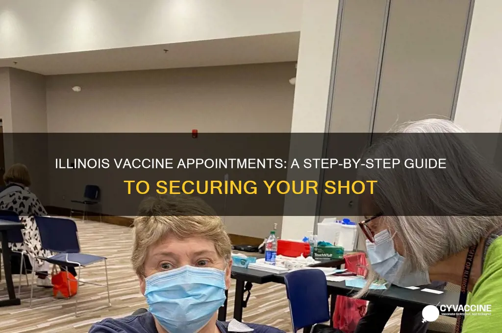 how to find a vaccine appointment in illinois