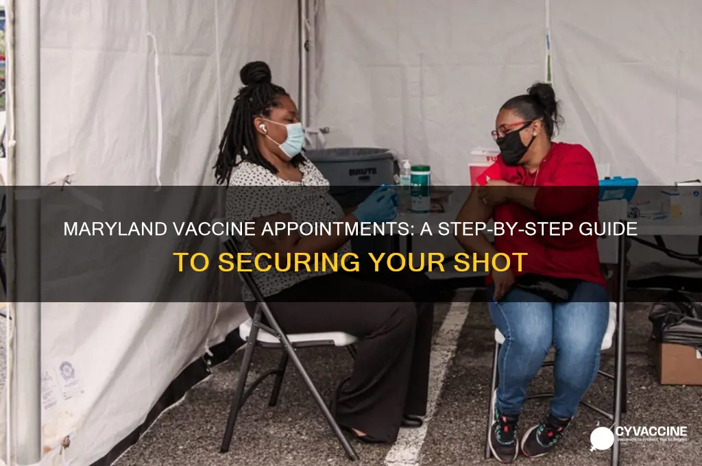 how to find a vaccine appointment in maryland