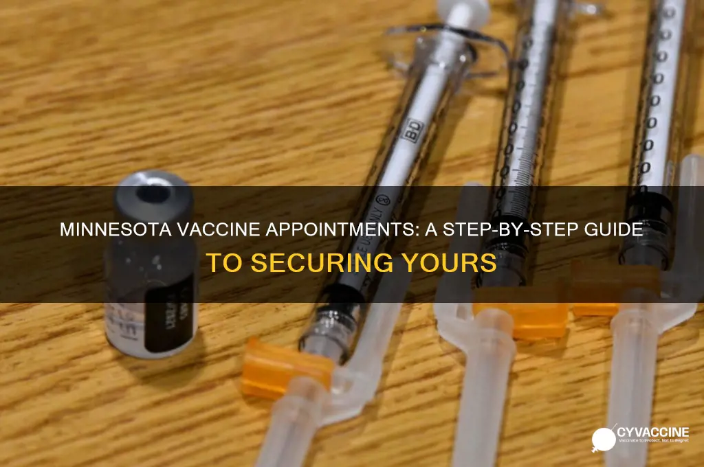 how to find a vaccine appointment in minnesota