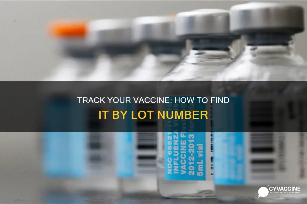 how to find a vaccine by lot number