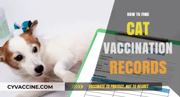 Locate Your Cat's Vaccination Records: A Step-by-Step Guide for Pet Owners