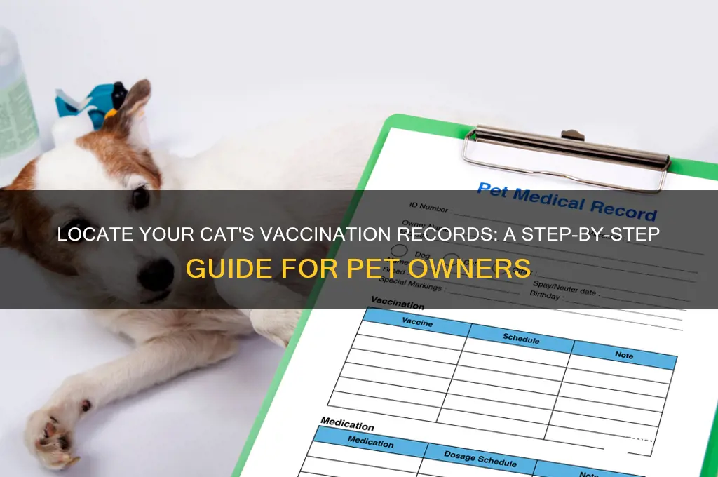 how to find cat vaccination records