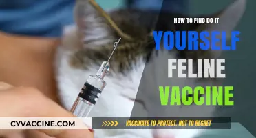 DIY Feline Vaccines: A Step-by-Step Guide for Cat Owners