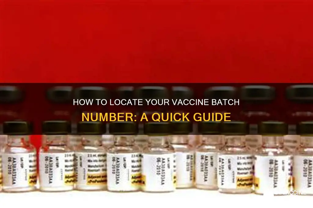 how to find out batch number of vaccine
