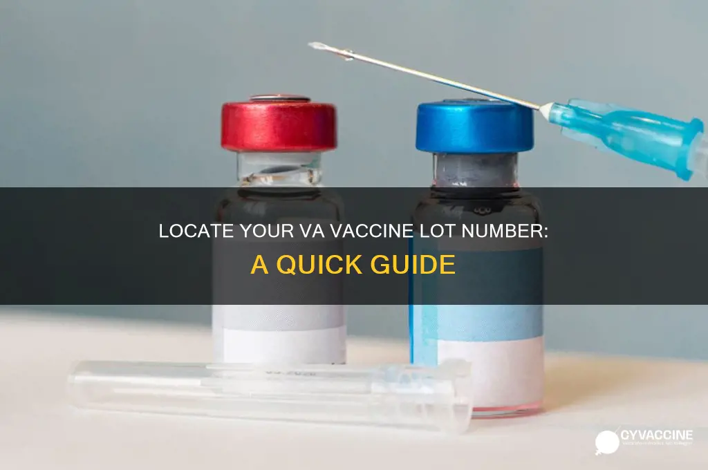 how to find out my vaccine lot number va