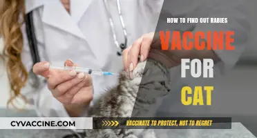 Finding the Right Rabies Vaccine for Your Feline Companion