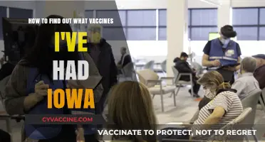 Iowa Vaccine Records: How to Track Your Immunization History Easily