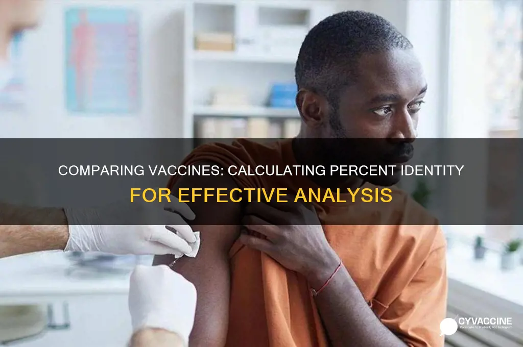 how to find percent identity between two vaccines