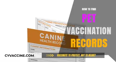 Locate Your Pet's Vaccination Records: A Quick and Easy Guide