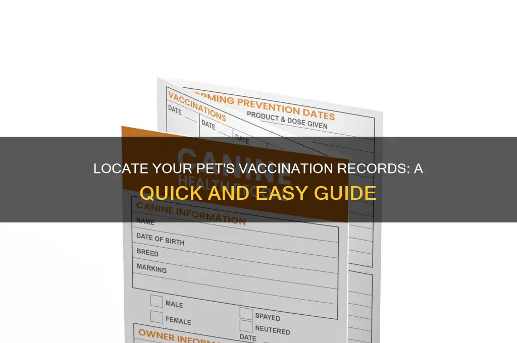 how to find pet vaccination records