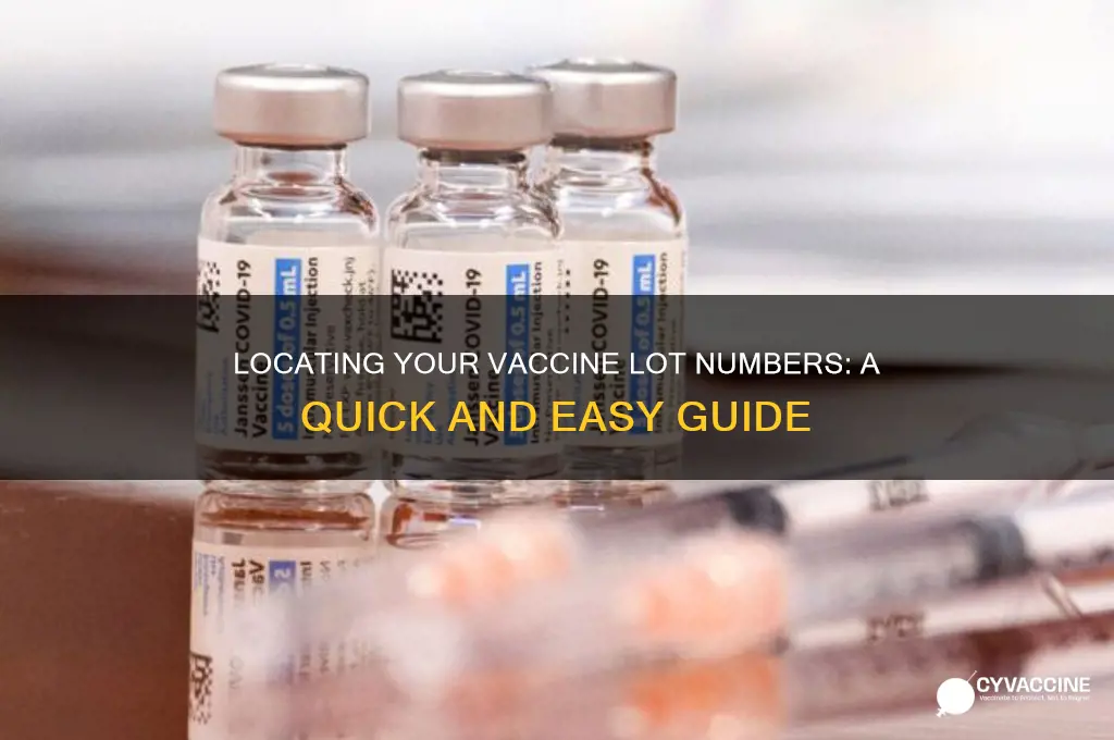 how to find the lot numbers of your vaccines