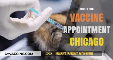 Chicago Vaccine Appointments: A Step-by-Step Guide to Securing Yours