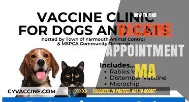 How to Secure Your COVID-19 Vaccine Appointment in Massachusetts