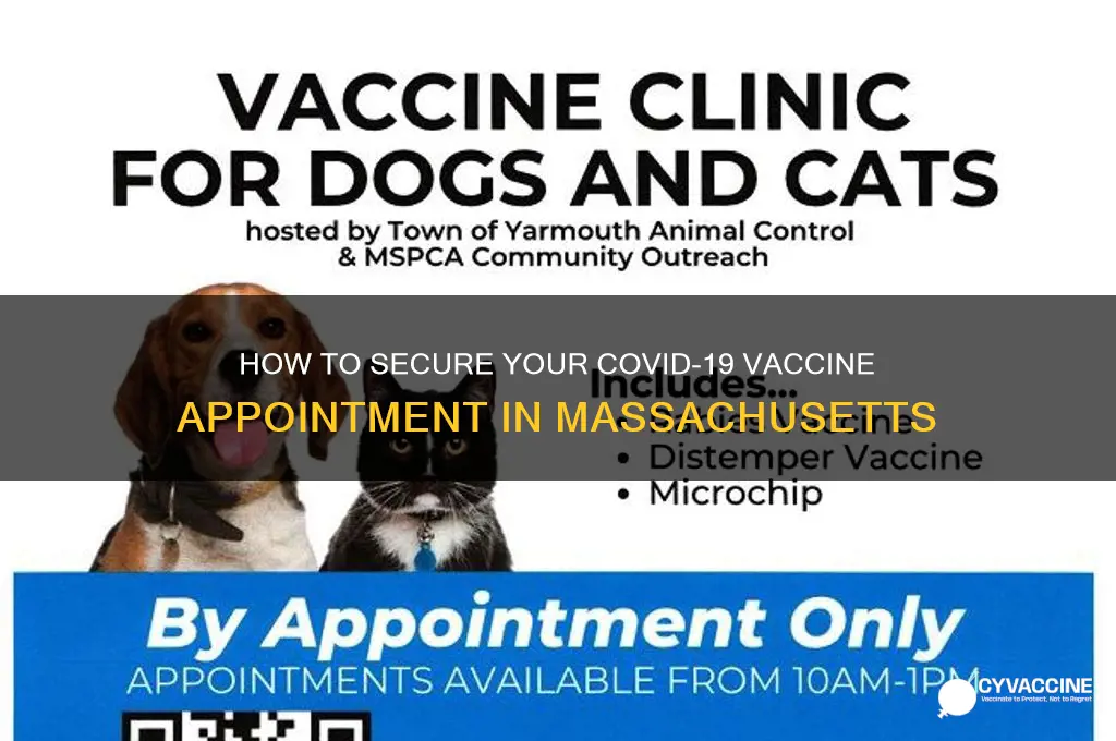 how to find vaccine appointment ma