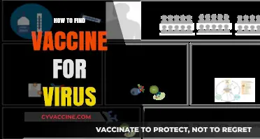 Discovering Effective Vaccines: A Comprehensive Guide to Virus Immunization