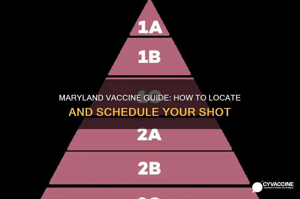 how to find vaccine in maryland