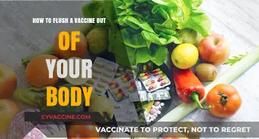 Debunking Myths: Effective Ways to Support Your Body Post-Vaccination