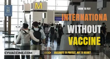 Traveling Abroad Without Vaccination: Tips for International Flights