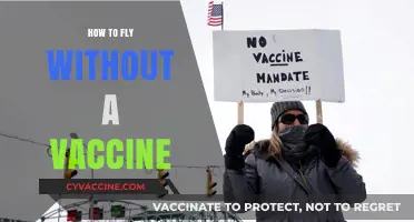 Traveling Safely: How to Fly Without a Vaccine Passport