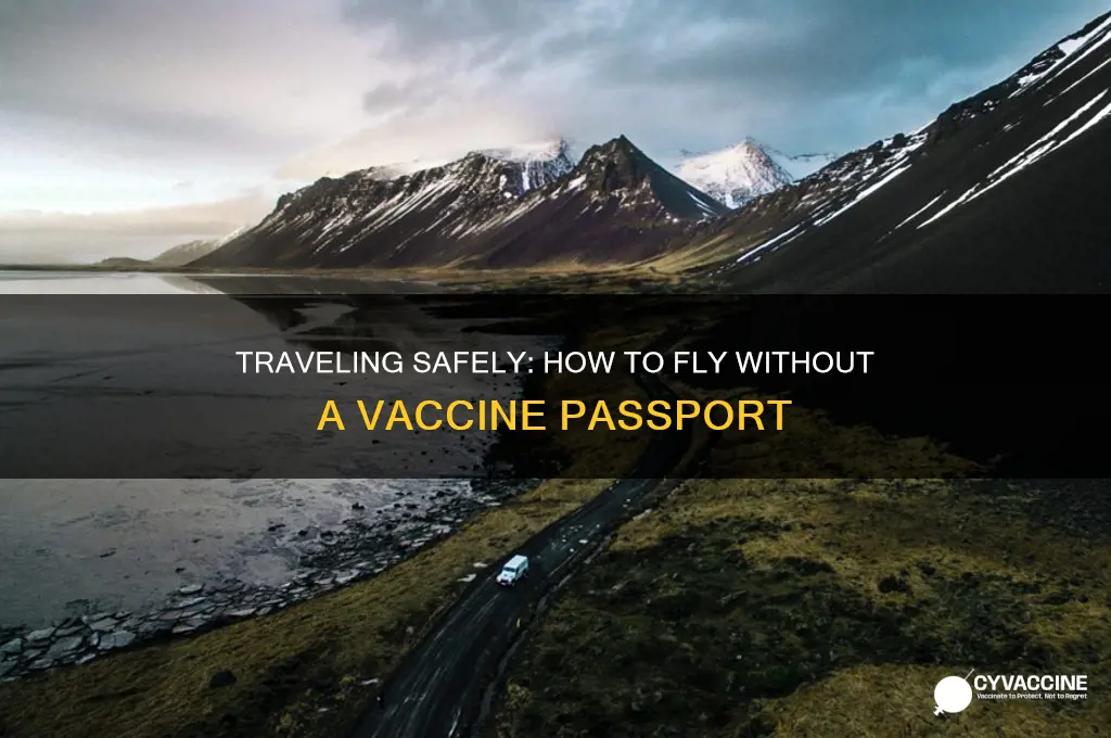 how to fly without a vaccine