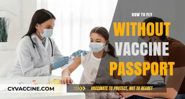 Traveling Freely: Tips to Fly Without a Vaccine Passport