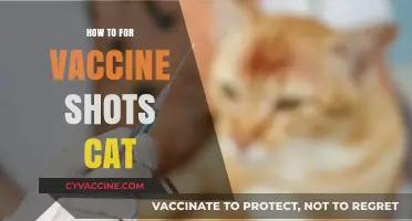 Stress-Free Cat Vaccinations: Tips for Smooth and Safe Shots