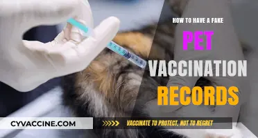 Creating Fake Pet Vaccination Records: Risks, Consequences, and Ethical Concerns