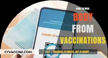 Healing After Vaccinations: Gentle Strategies for Body Recovery and Wellness