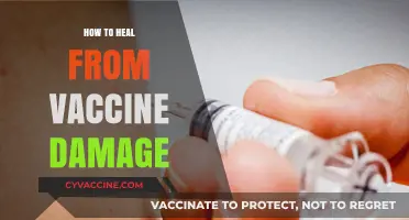 Healing Strategies for Vaccine-Related Injuries: A Comprehensive Recovery Guide