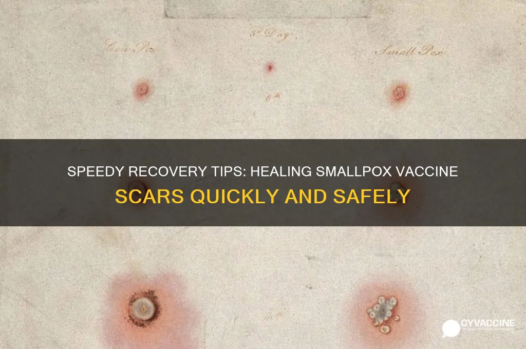 how to heal smallpox vaccine faster