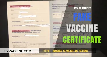 Spotting Fake Vaccine Certificates: Essential Tips to Verify Authenticity