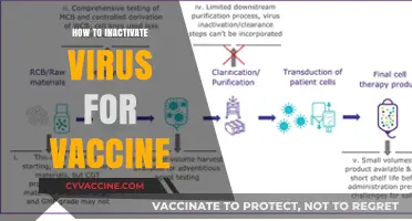 Effective Methods to Inactivate Viruses for Safe and Stable Vaccines