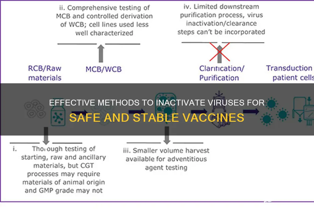 how to inactivate virus for vaccine
