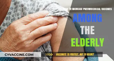 Boosting Pneumococcal Vaccination Rates in the Elderly: Strategies for Success