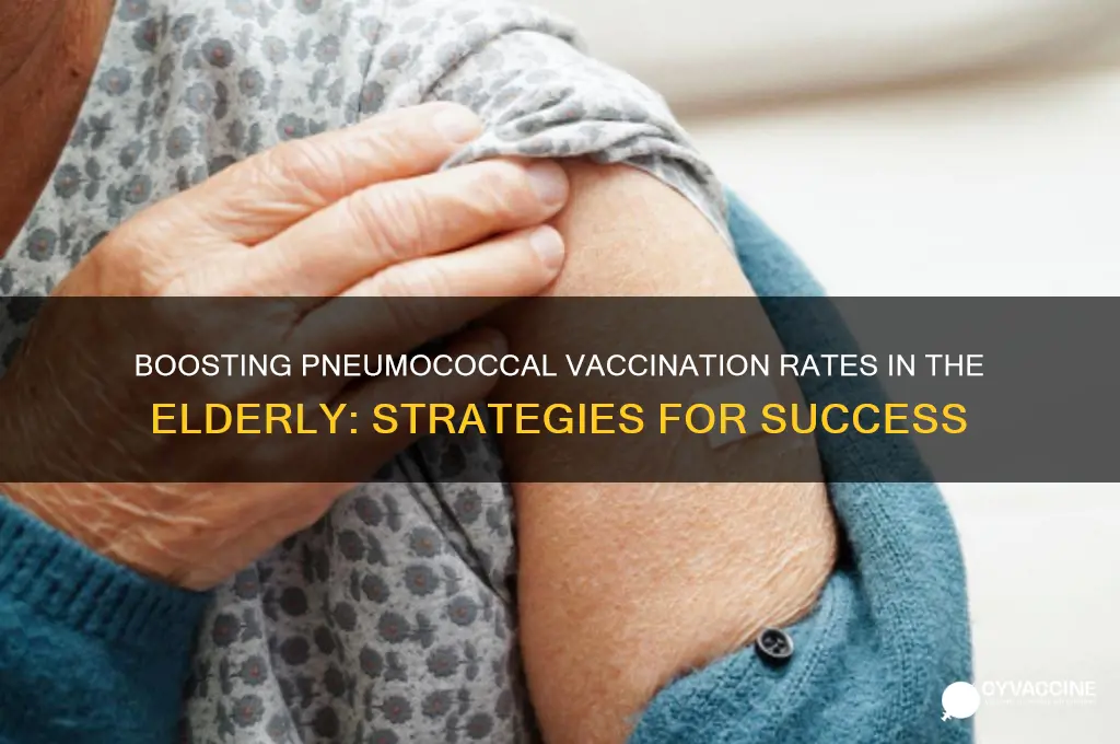 how to increase pneumococcal vaccines among the elderly