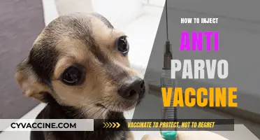 Step-by-Step Guide: Administering Anti-Parvo Vaccine to Your Puppy Safely