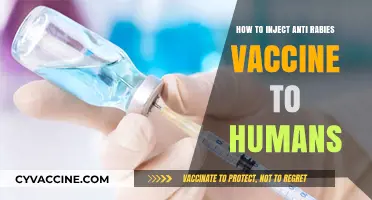 Administering Anti-Rabies Vaccines: A Step-by-Step Human Injection Guide