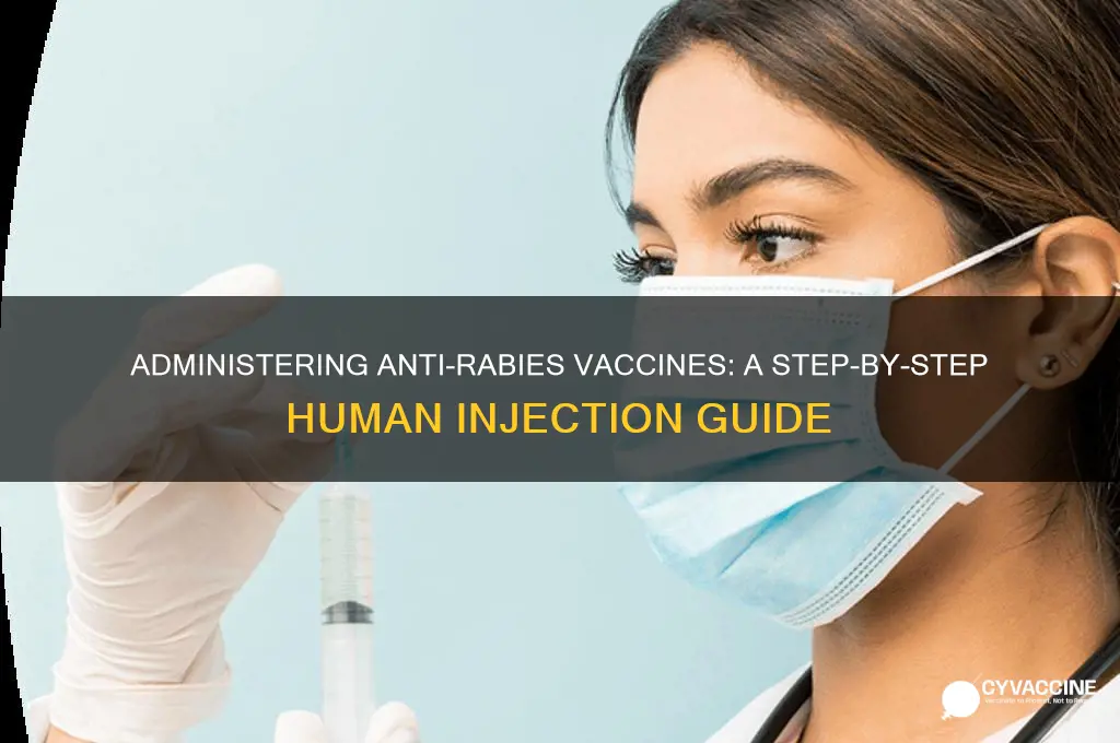 how to inject anti rabies vaccine to humans