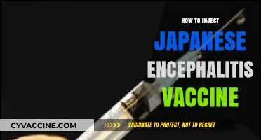 Step-by-Step Guide to Administering Japanese Encephalitis Vaccine Safely