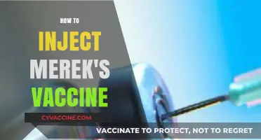 Step-by-Step Guide: Administering Merek's Vaccine Safely and Effectively